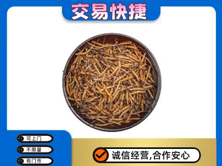 泰安礼品回收虫草.jpg