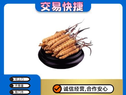 泰安礼品回收散虫草.jpg